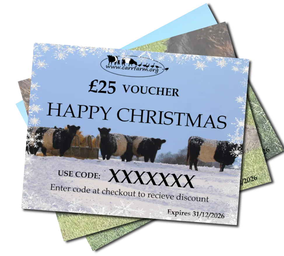 Beltie Voucher